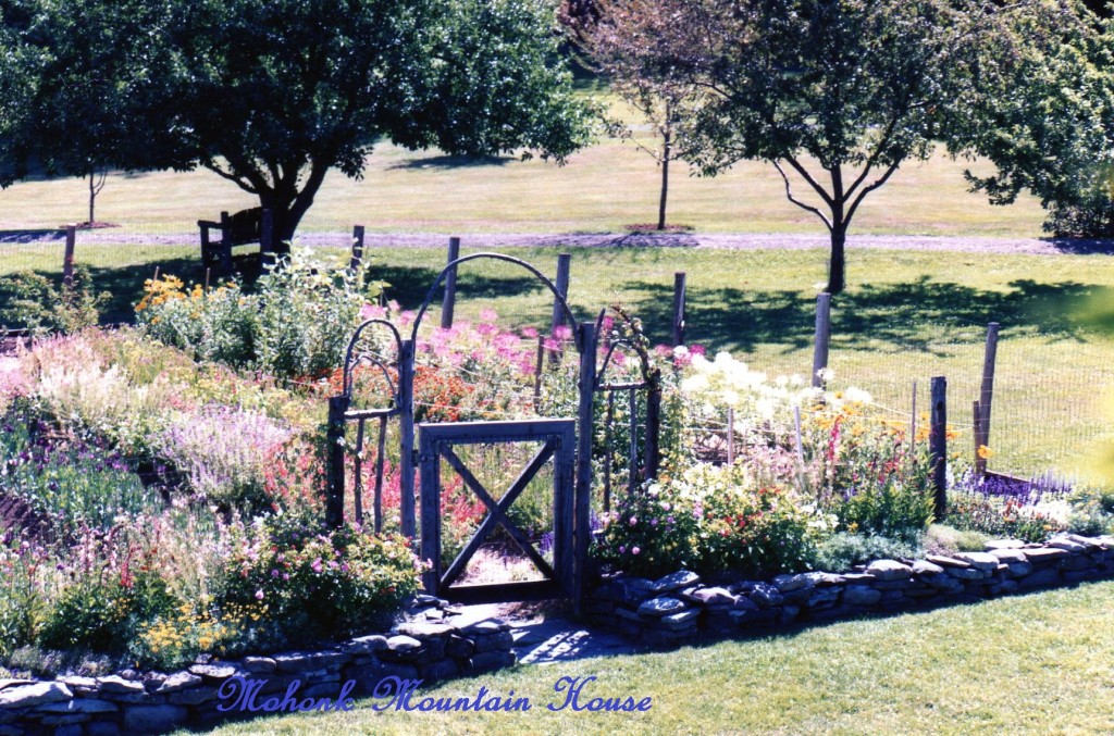 Mohonk https://lolajack-global.jp.net/inspiring-gardens/mohonk/