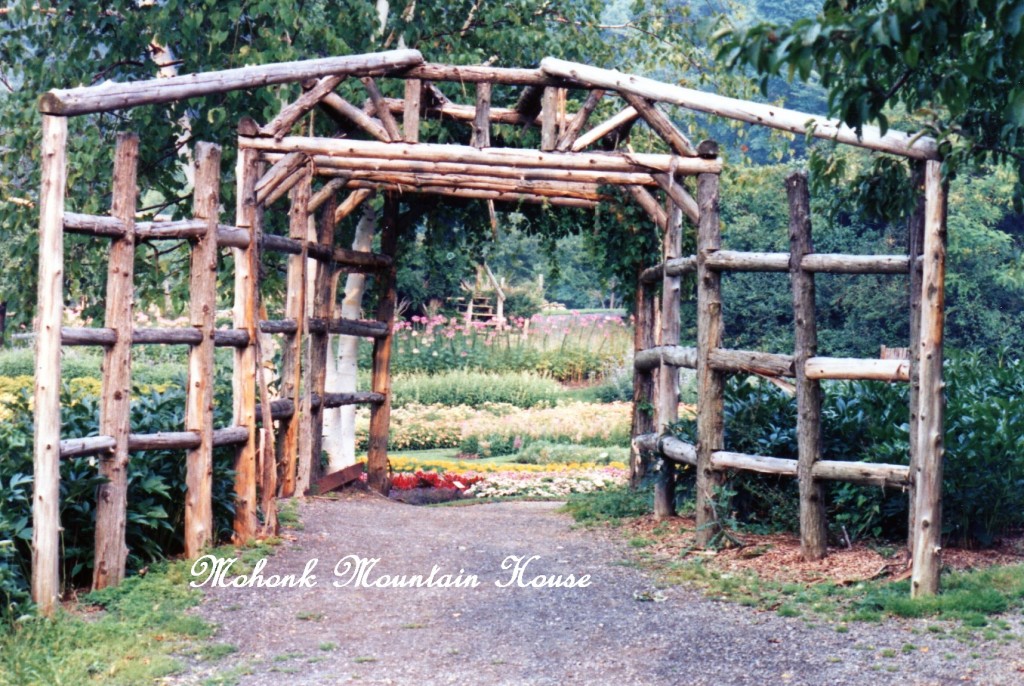 Mohonk https://lolajack-global.jp.net/inspiring-gardens/mohonk/