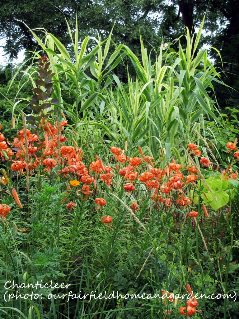 https://lolajack-global.jp.net/inspiring-gardens/chanticleer/