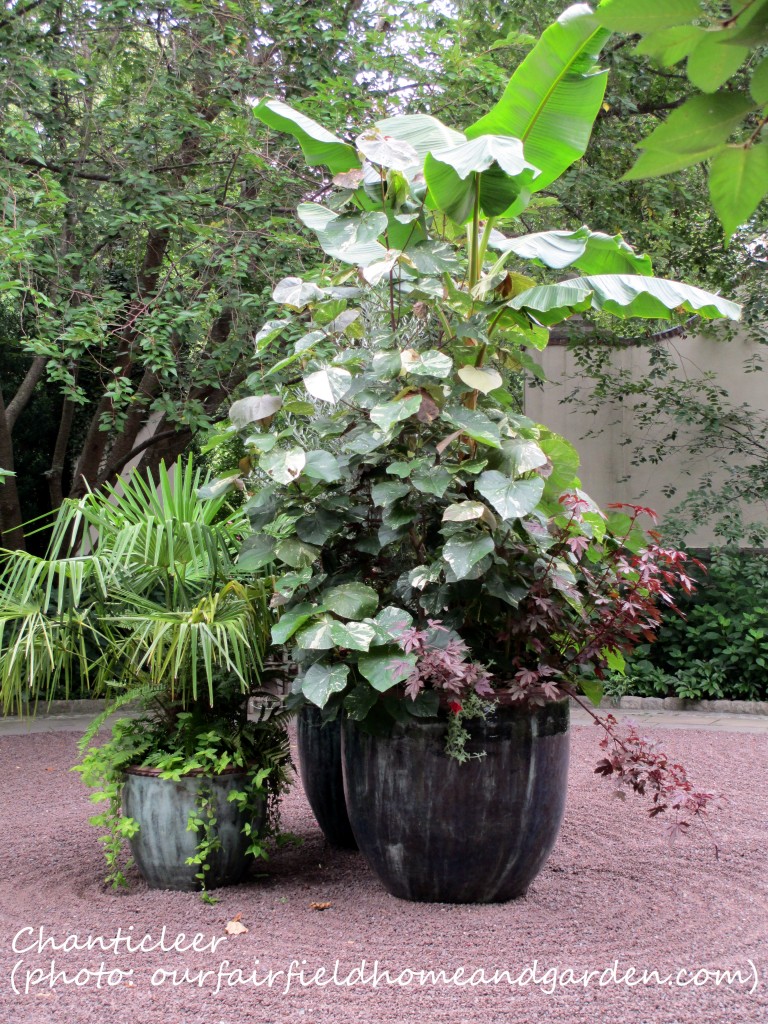 https://lolajack-global.jp.net/inspiring-gardens/chanticleer/