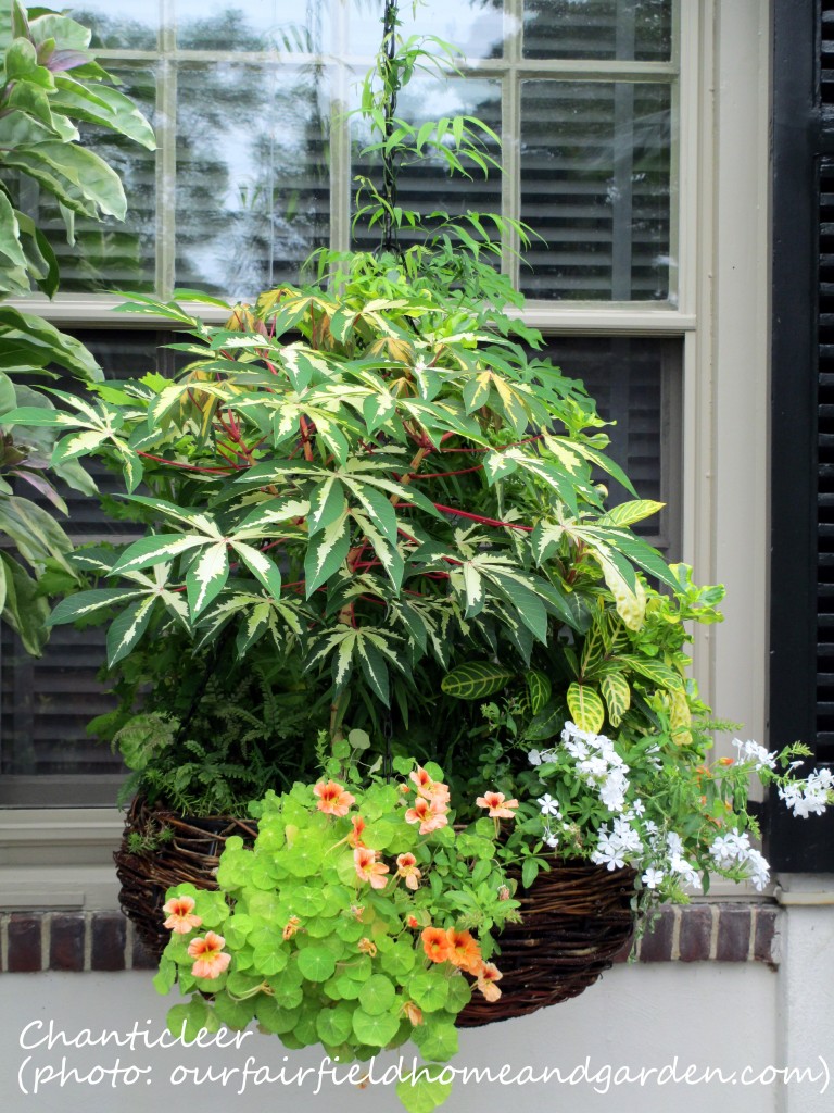 https://lolajack-global.jp.net/inspiring-gardens/chanticleer/