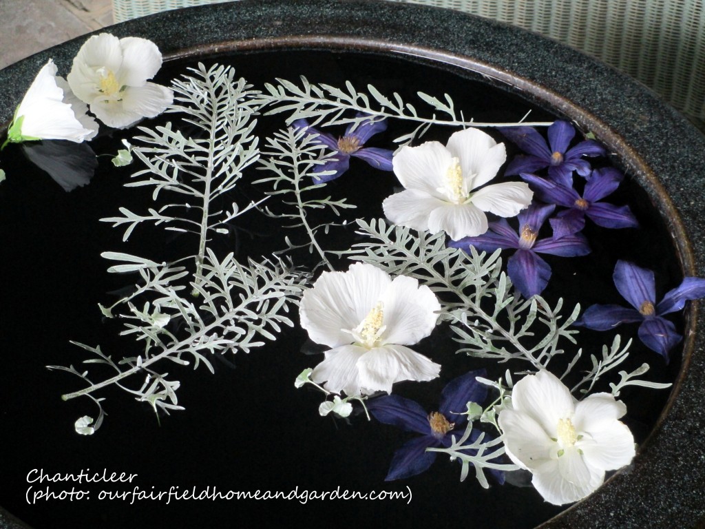 https://lolajack-global.jp.net/inspiring-gardens/chanticleer/