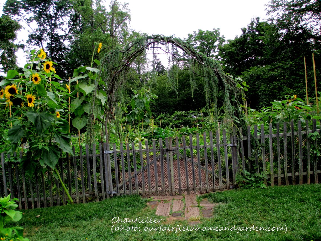 https://lolajack-global.jp.net/inspiring-gardens/chanticleer/