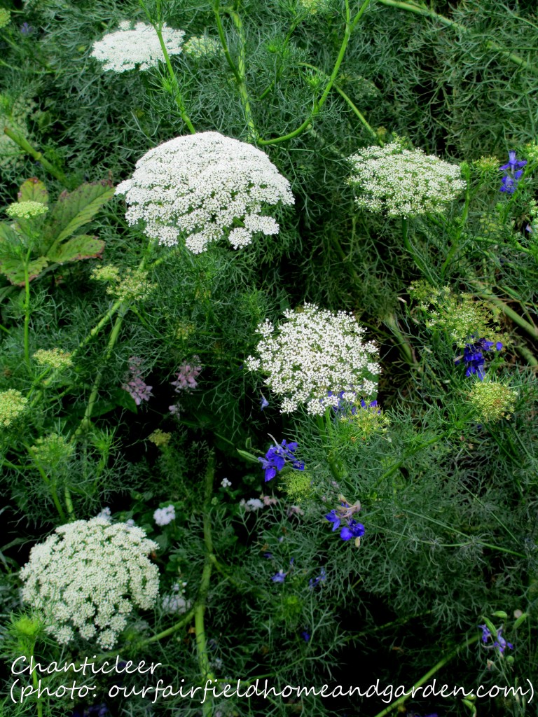 https://lolajack-global.jp.net/inspiring-gardens/chanticleer/
