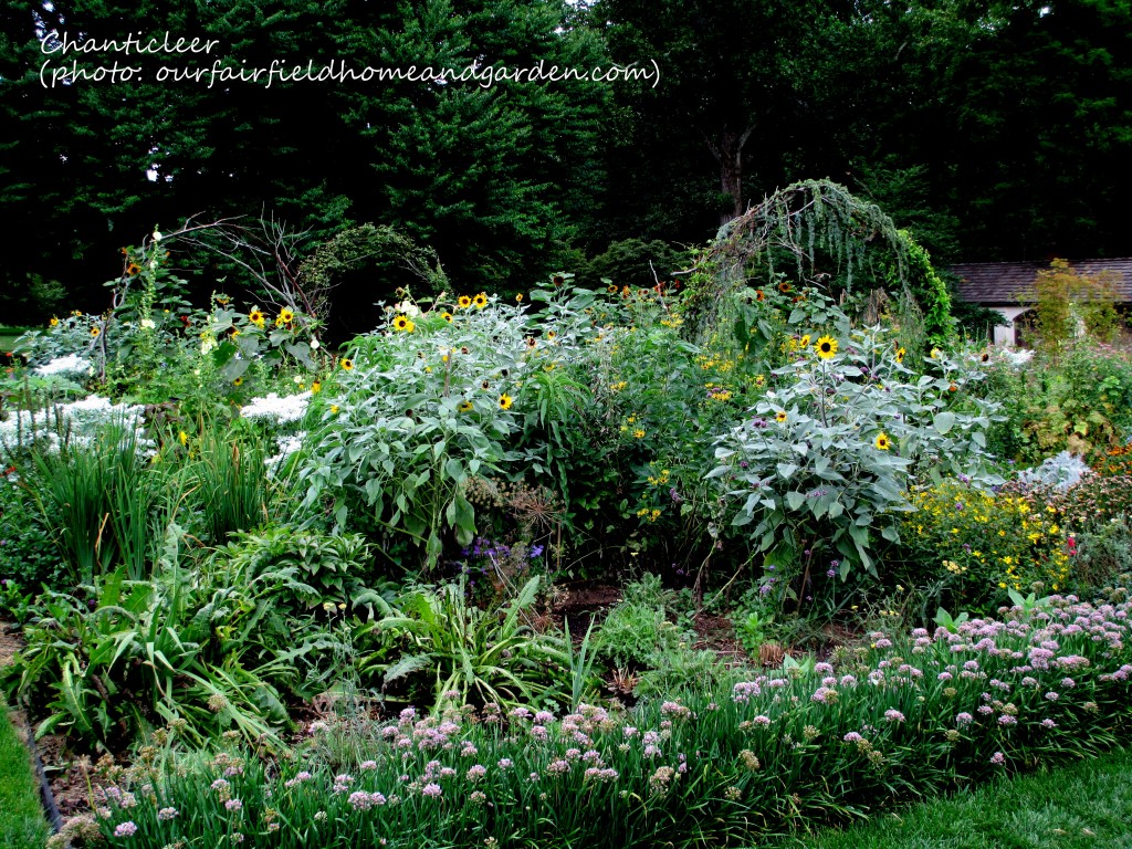 https://lolajack-global.jp.net/inspiring-gardens/chanticleer/