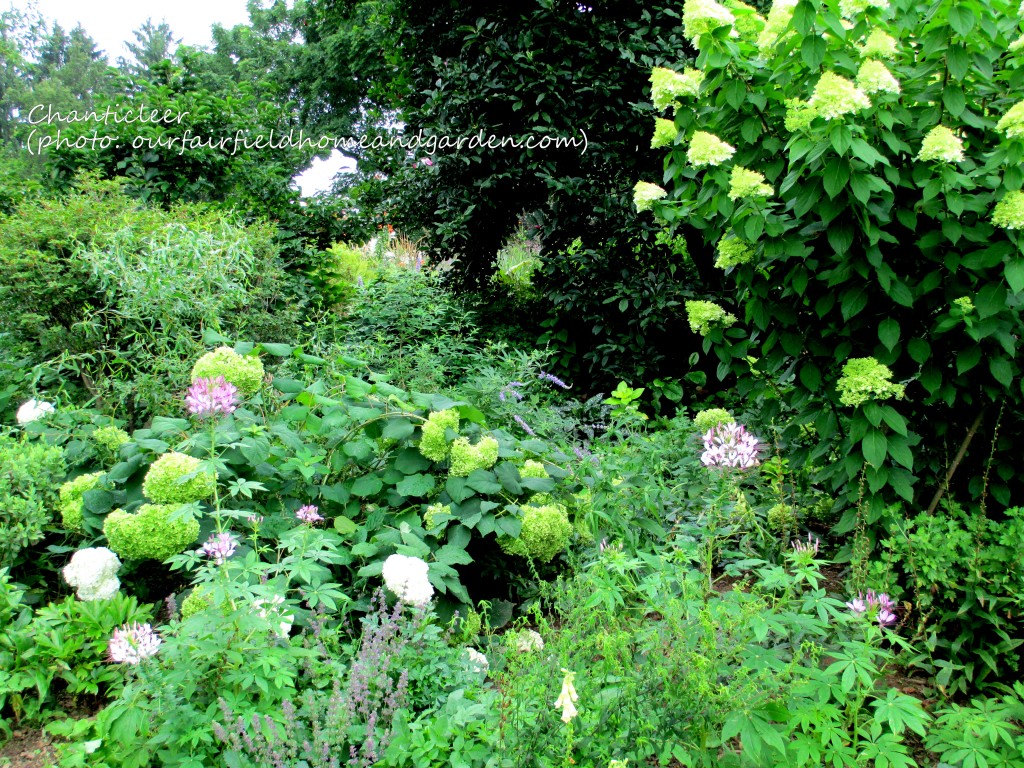 https://lolajack-global.jp.net/inspiring-gardens/chanticleer/