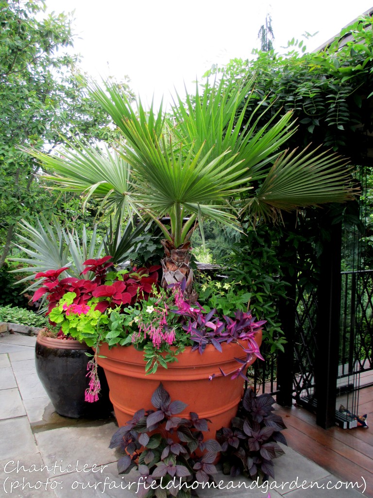 https://lolajack-global.jp.net/inspiring-gardens/chanticleer/