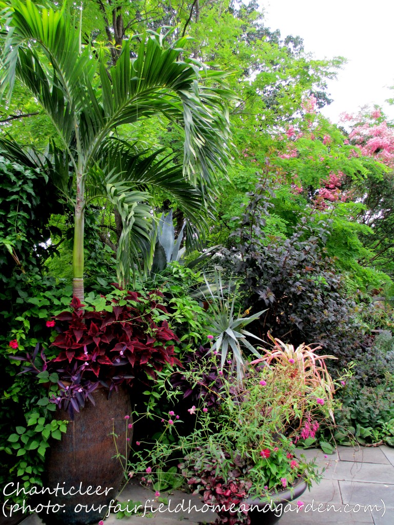 https://lolajack-global.jp.net/inspiring-gardens/chanticleer/