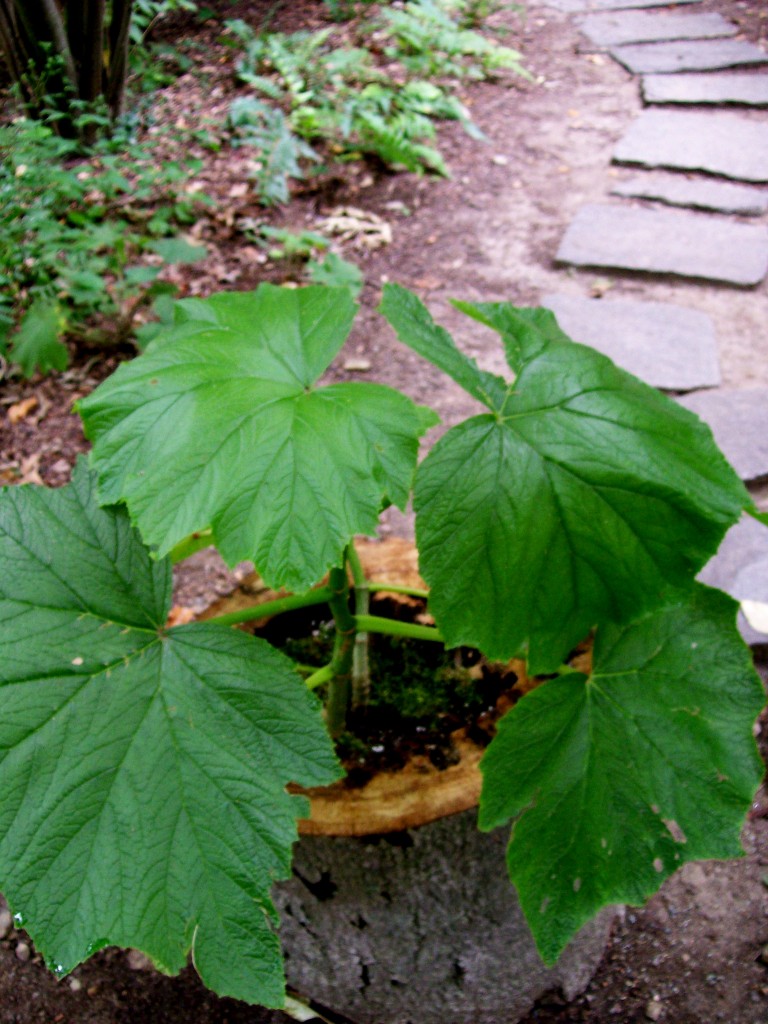 https://lolajack-global.jp.net/inspiring-gardens/winterthur/