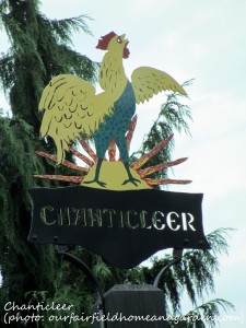 Chanticleer https://lolajack-global.jp.net/field-trip-the-unusual-and-romantic-gardens-of-chanticleer/