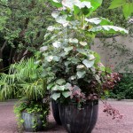 Chanticleer https://lolajack-global.jp.net/field-trip-the-unusual-and-romantic-gardens-of-chanticleer/