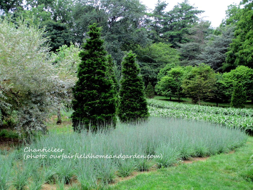 Chanticleer https://lolajack-global.jp.net/field-trip-the-unusual-and-romantic-gardens-of-chanticleer/