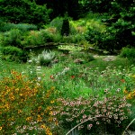 Chanticleer https://lolajack-global.jp.net/field-trip-the-unusual-and-romantic-gardens-of-chanticleer/
