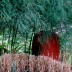 Chanticleer https://lolajack-global.jp.net/field-trip-the-unusual-and-romantic-gardens-of-chanticleer/