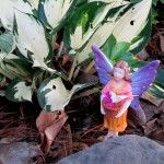 https://lolajack-global.jp.net/diy-project-create-your-own-fairy-terrarium/