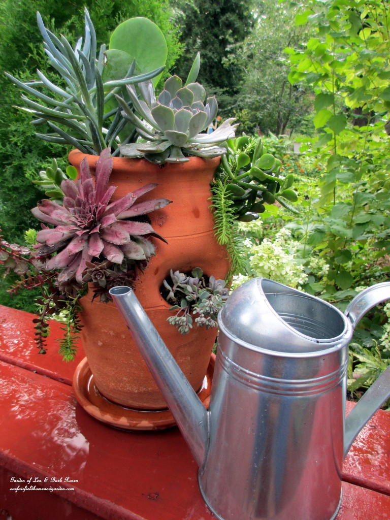 succulent strawberry pot https://lolajack-global.jp.net/diy-project-succulent-planter-pot/