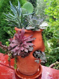 https://lolajack-global.jp.net/diy-project-succulent-planter-pot/