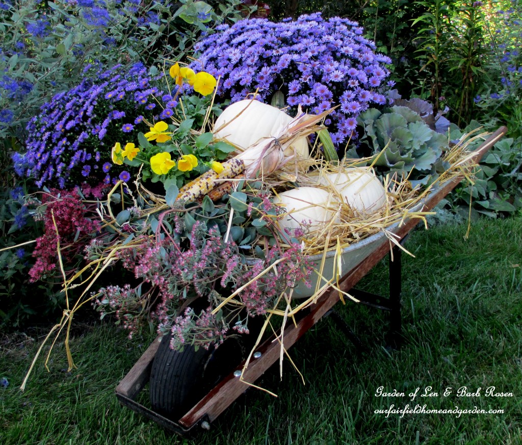 https://lolajack-global.jp.net/our-fairfield-home-garden-welcomes-fall/