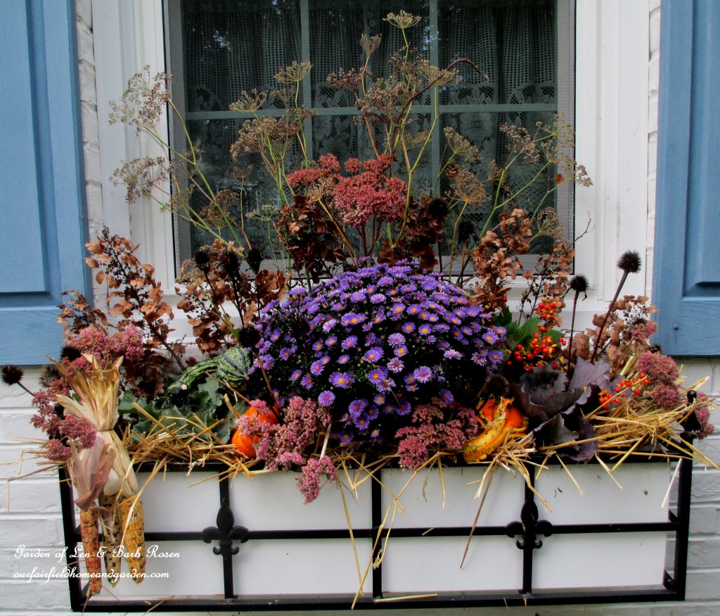 https://lolajack-global.jp.net/our-fairfield-home-garden-welcomes-fall/