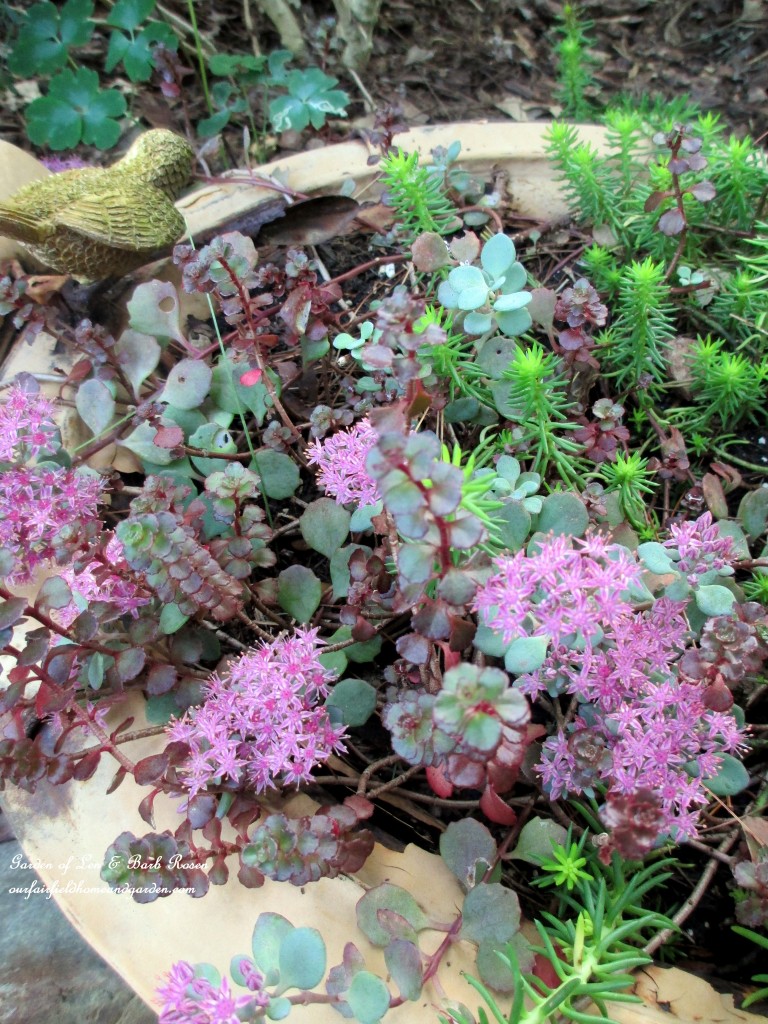 https://lolajack-global.jp.net/our-fairfield-home-garden-welcomes-fall/