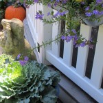 https://lolajack-global.jp.net/our-fairfield-home-garden-welcomes-fall/