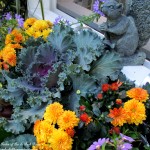 https://lolajack-global.jp.net/our-fairfield-home-garden-welcomes-fall/