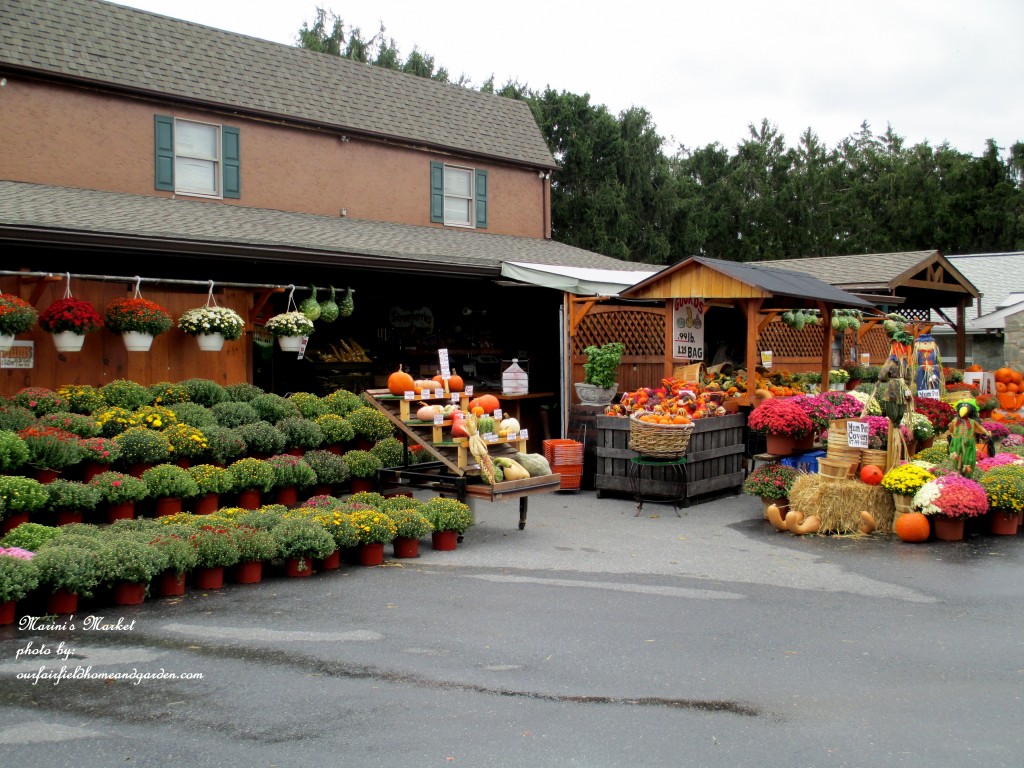 Marini's Market In Fall https://lolajack-global.jp.net/field-trip-gourds-galore-and-norman-the-pot-bellied-pig-at-marinis-market/