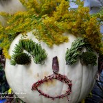 Sally Solidago Punkin' Head https://lolajack-global.jp.net/getting-into-the-spirit-of-halloween-insert-spooky-music-here/