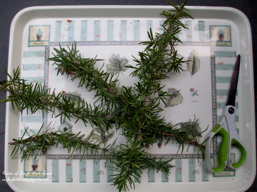Make a Rosemary Wreath https://lolajack-global.jp.net/diy-project-make-a-fresh-rosemary-wreath/