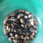 Terrarium DIY https://lolajack-global.jp.net/diy-project-design-a-rustic-cottage-getaway-in-a-terrarium/
