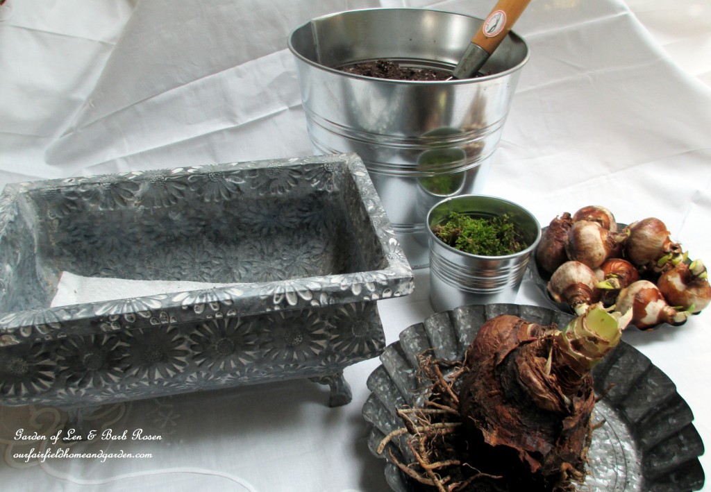 forcing bulbs https://lolajack-global.jp.net/diy-project-save-money-by-creating-your-own-fancy-potted-paperwhites-amaryllis-bulb-gardens-as-holiday-gifts-or-decorations/
