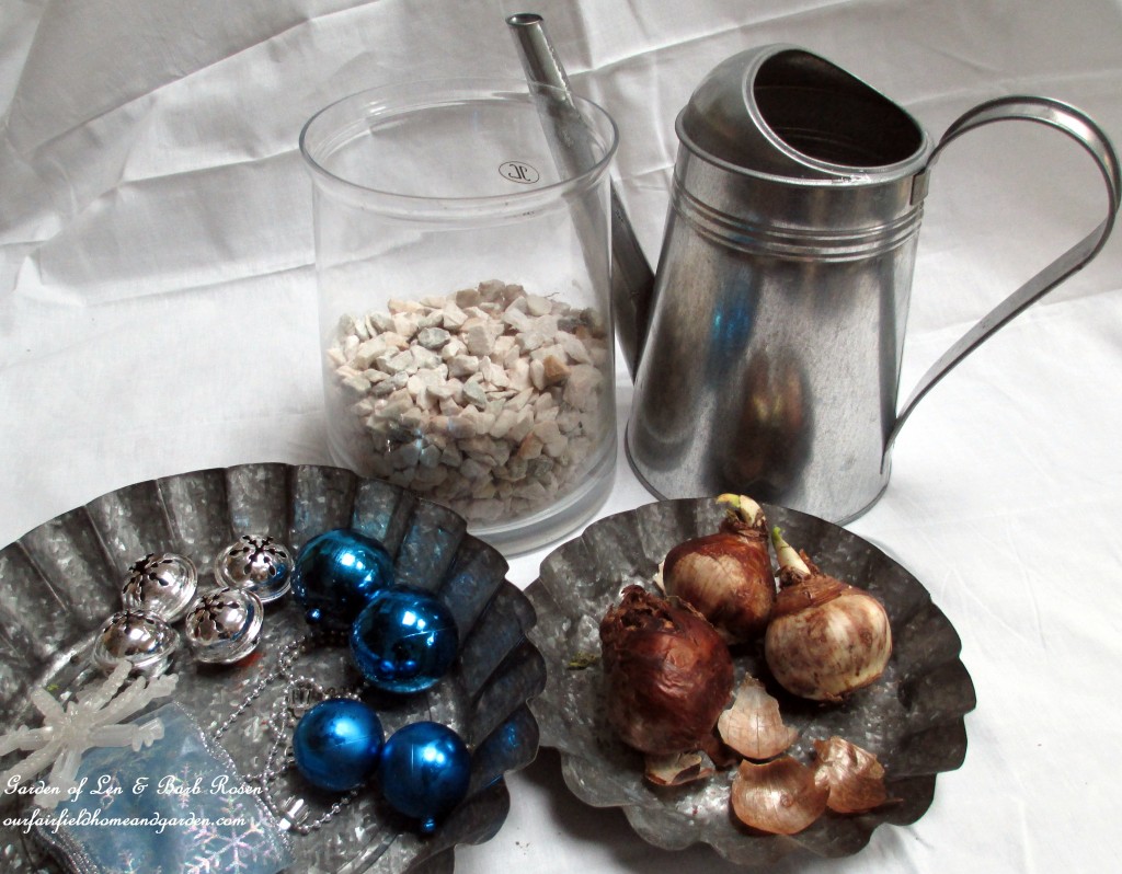 forcing bulbs https://lolajack-global.jp.net/diy-project-save-money-by-creating-your-own-fancy-potted-paperwhites-amaryllis-bulb-gardens-as-holiday-gifts-or-decorations/