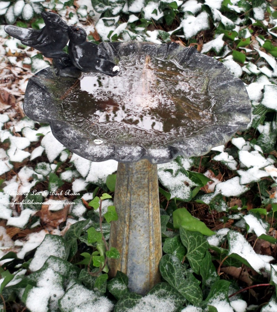 Birdbath under a pine https://lolajack-global.jp.net/winter-wonderland-it-finally-snowed/