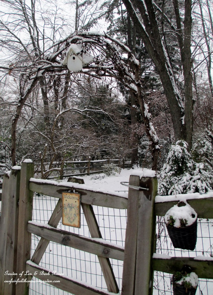 Back fence arbor https://lolajack-global.jp.net/winter-wonderland-it-finally-snowed/