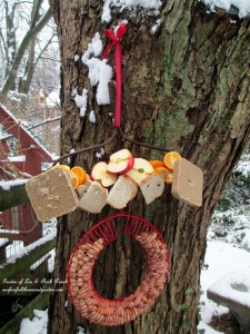 skewered fruit, bread, suet and a hanging peanut feeder will satisfy many different guests