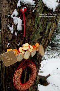 Rake Bird Buffet https://lolajack-global.jp.net/diy-project-turn-a-rake-head-into-a-bird-buffet/