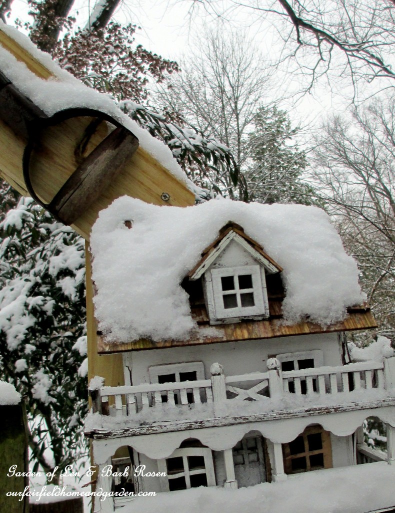 Back Fence Birdhouse https://lolajack-global.jp.net/winter-wonderland-it-finally-snowed/