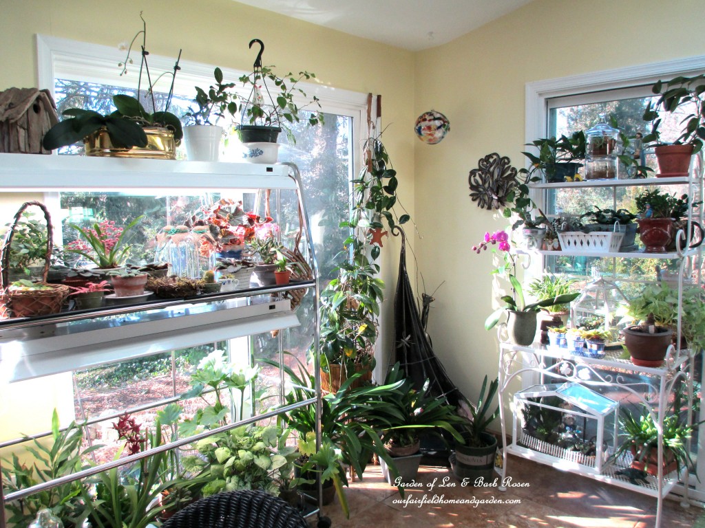 sunny Garden Room on a January morning https://lolajack-global.jp.net/my-winter-sanctuary-scenes-from-a-garden-room/