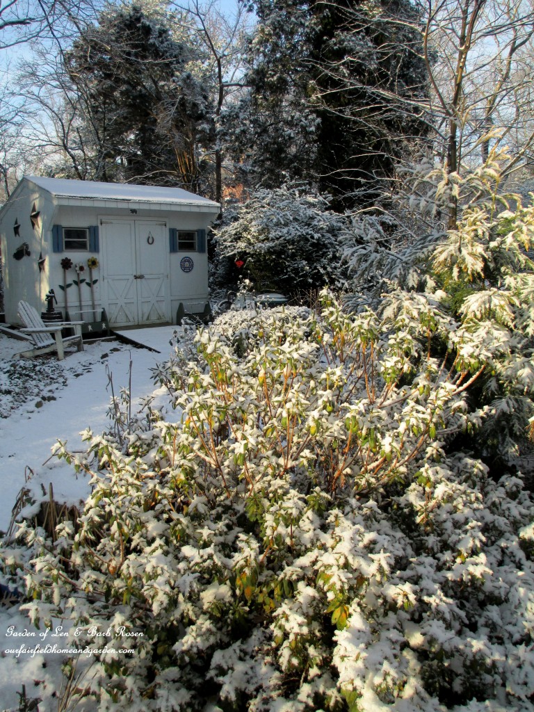 back to the garden shed https://lolajack-global.jp.net/january-winter-garden/