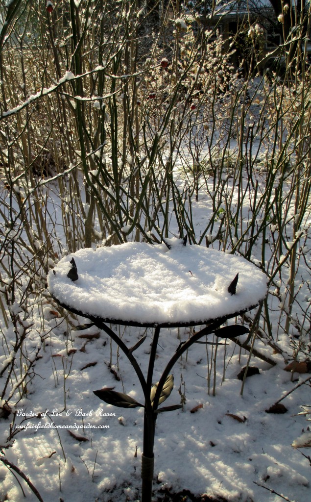 frozen bird bath https://lolajack-global.jp.net/january-winter-garden/