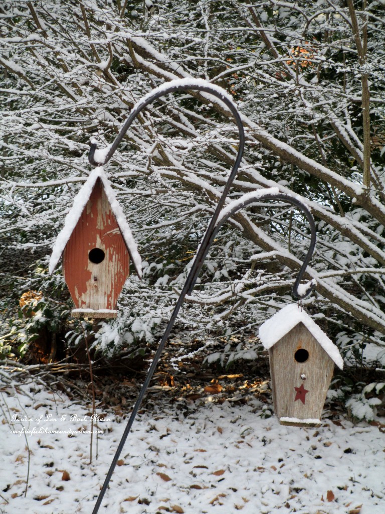birdhouses in the snow https://lolajack-global.jp.net/january-winter-garden/