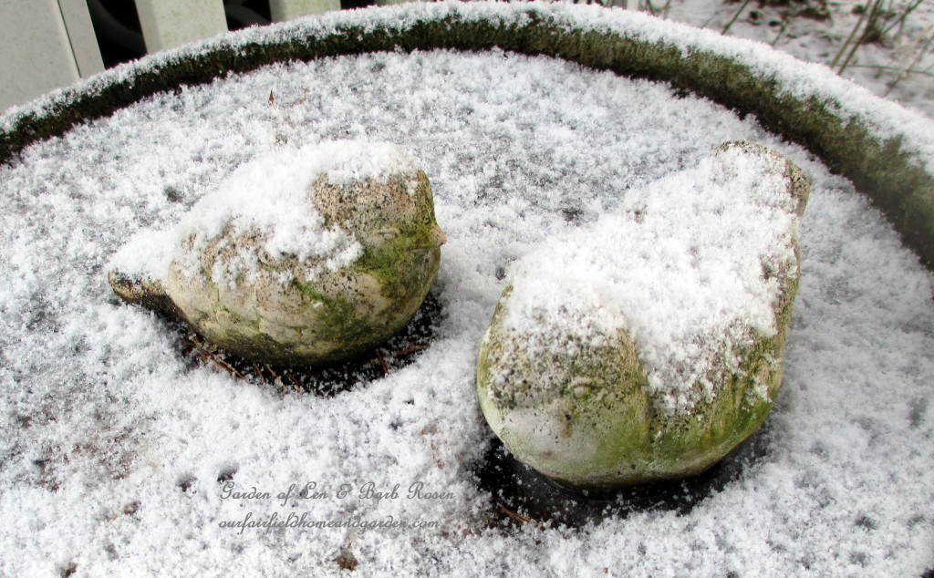 snowy bird bath https://lolajack-global.jp.net/january-winter-garden/