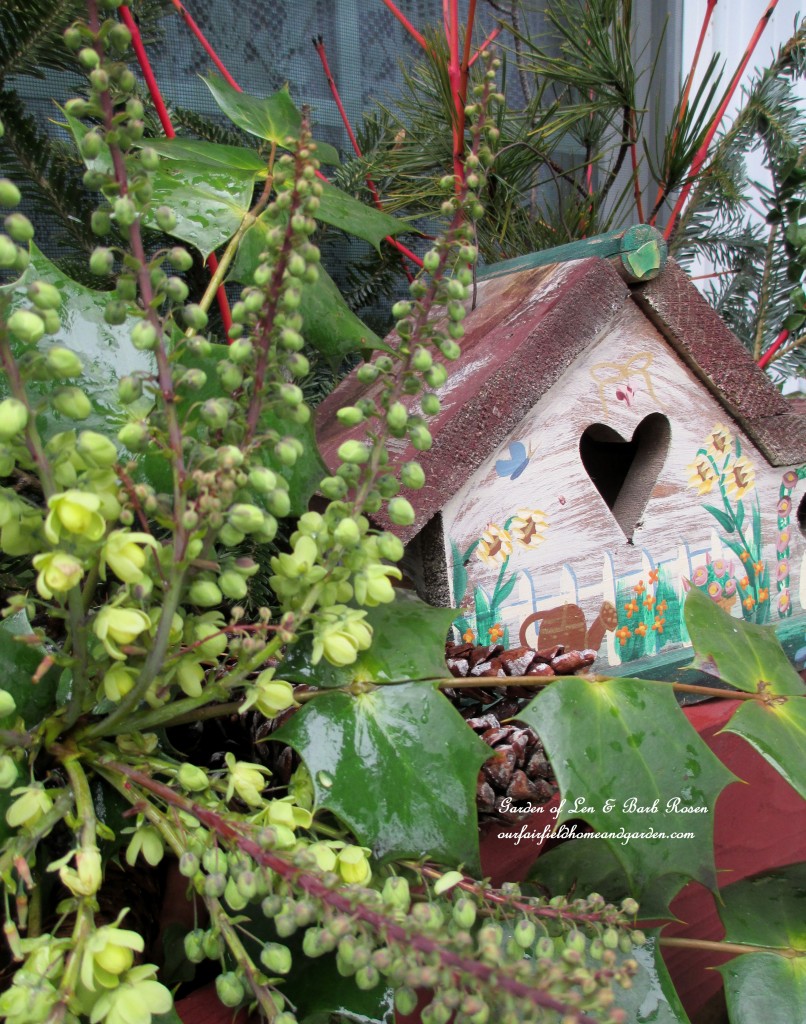 Mahonia provides the bloom in the window box https://lolajack-global.jp.net/heart-home-valentines-day-is-coming/
