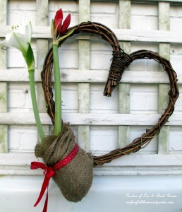 Amaryllis Heart Wreath https://lolajack-global.jp.net/diy-amaryllis-heart-wreath/