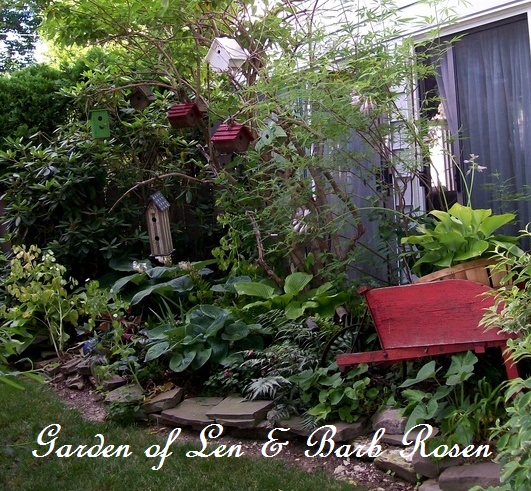 tiny side yard garden https://lolajack-global.jp.net/a-trip-down-memory-lane-my-former-garden/