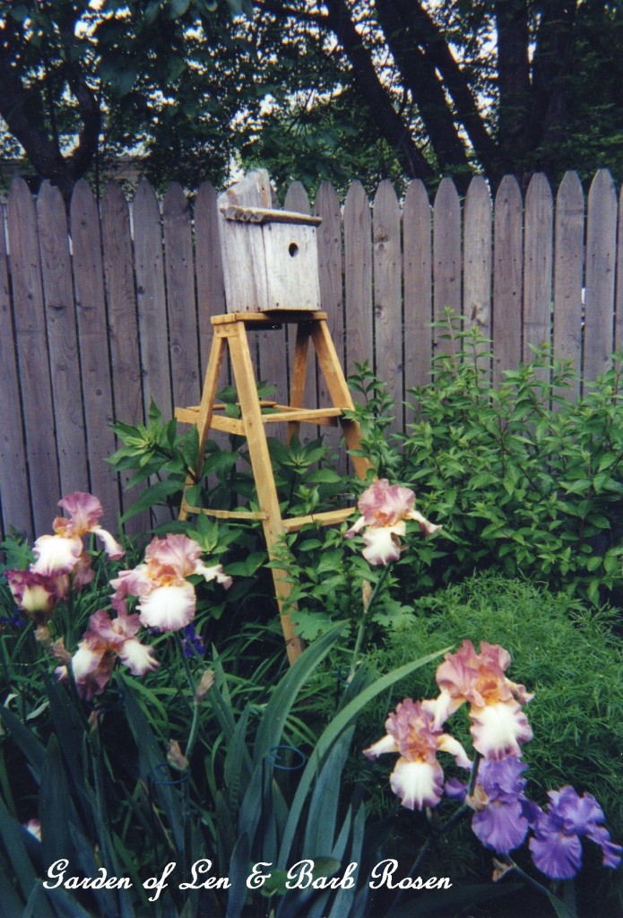 birdhouse ladder https://lolajack-global.jp.net/a-trip-down-memory-lane-my-former-garden/