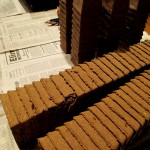 Peat pots, plant trays, potting mix and seeds are all you need! https://lolajack-global.jp.net/dch-workshop-pushing-spring-early-planting-for-the-impatient-gardener-with-alice-george-davis/
