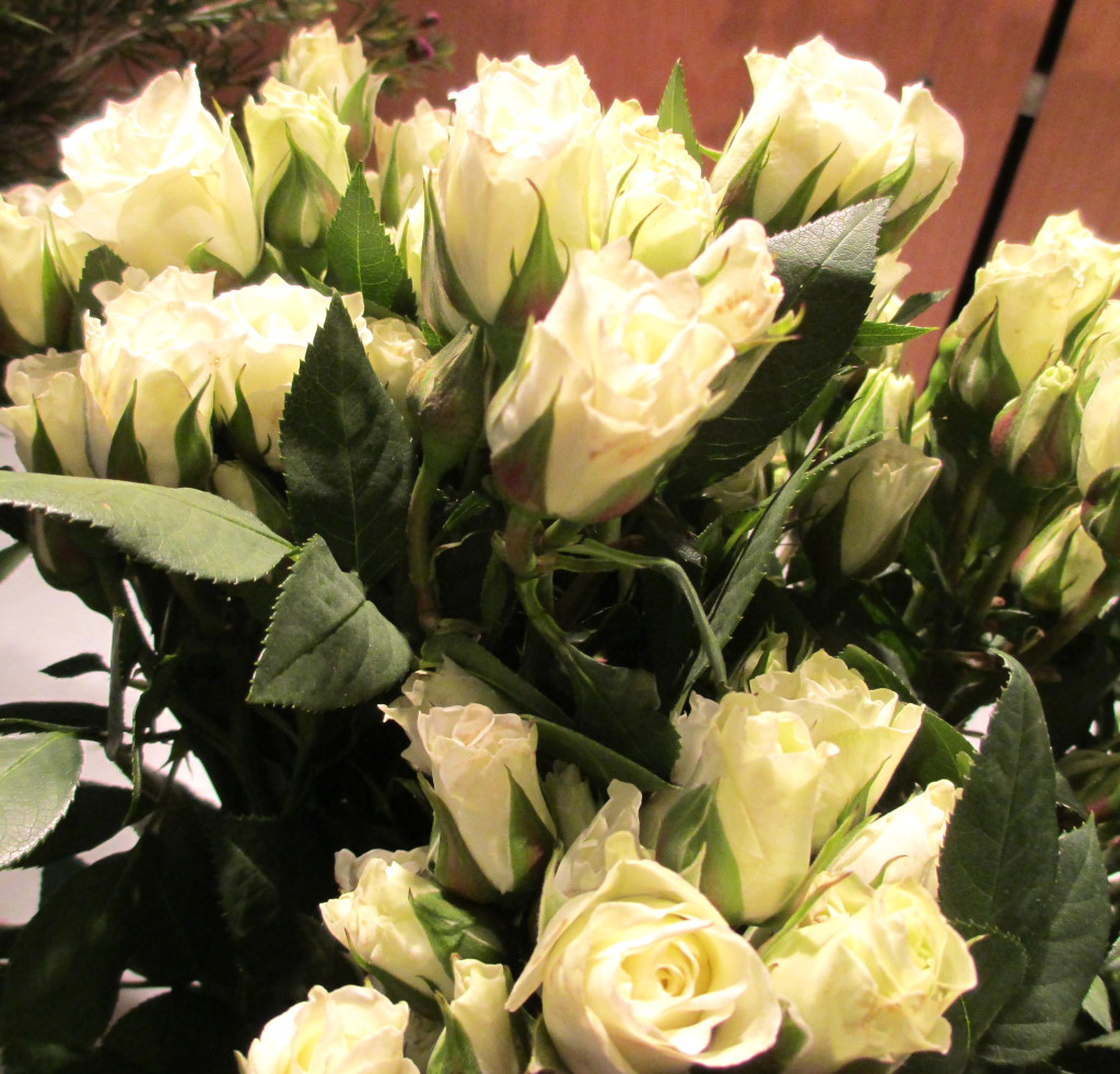 White Spray Roses