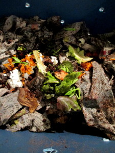 composting with worms in a tub ~ vermicomposting https://lolajack-global.jp.net/diy-project-vermicomposting-in-a-tub-in-a-few-easy-steps/