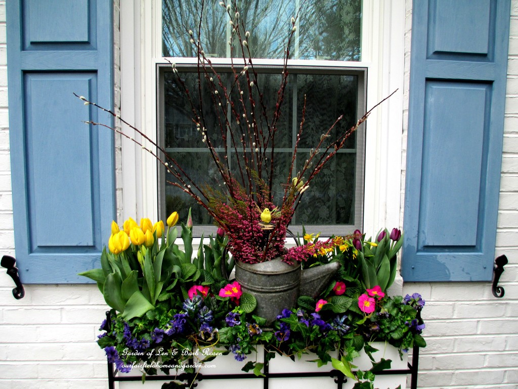 Tulips, hyacinths, primroses, pussy willow branches, heather and pansies plus some ivy from the yard 